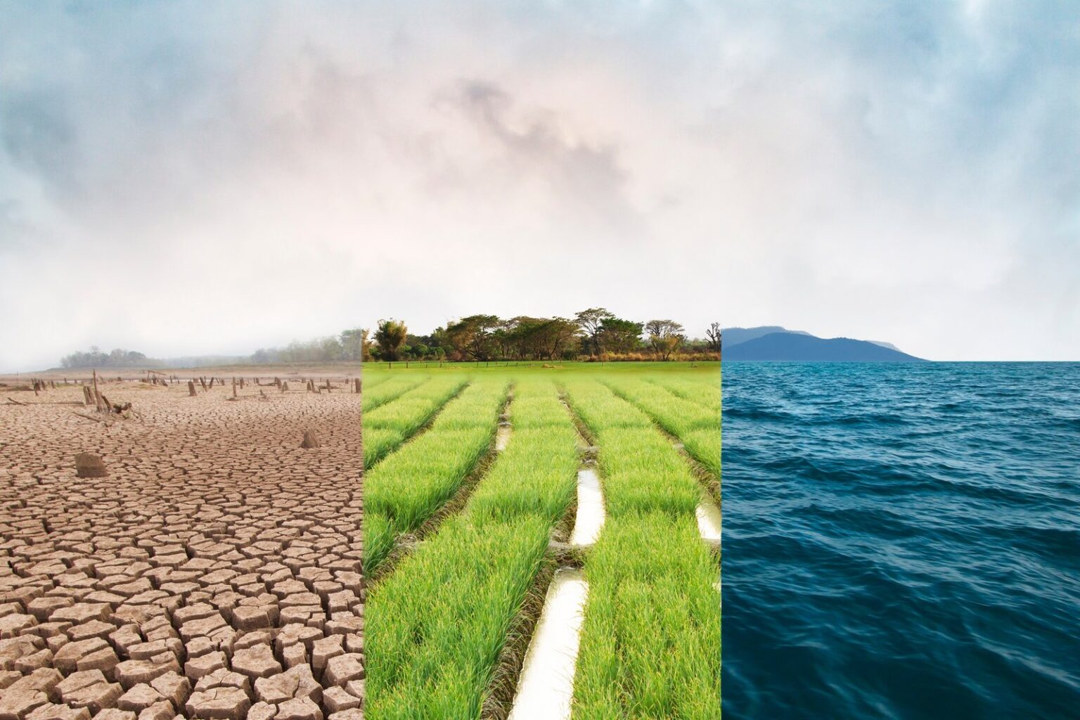 Climate Change