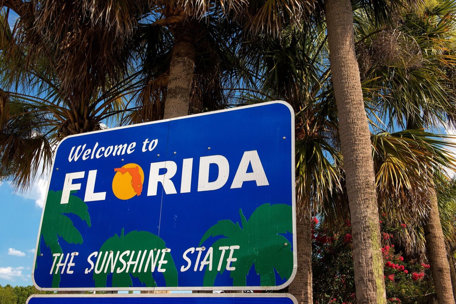 Florida Office of Insurance Regulation Data Request on the Back Burner – For Now Florida