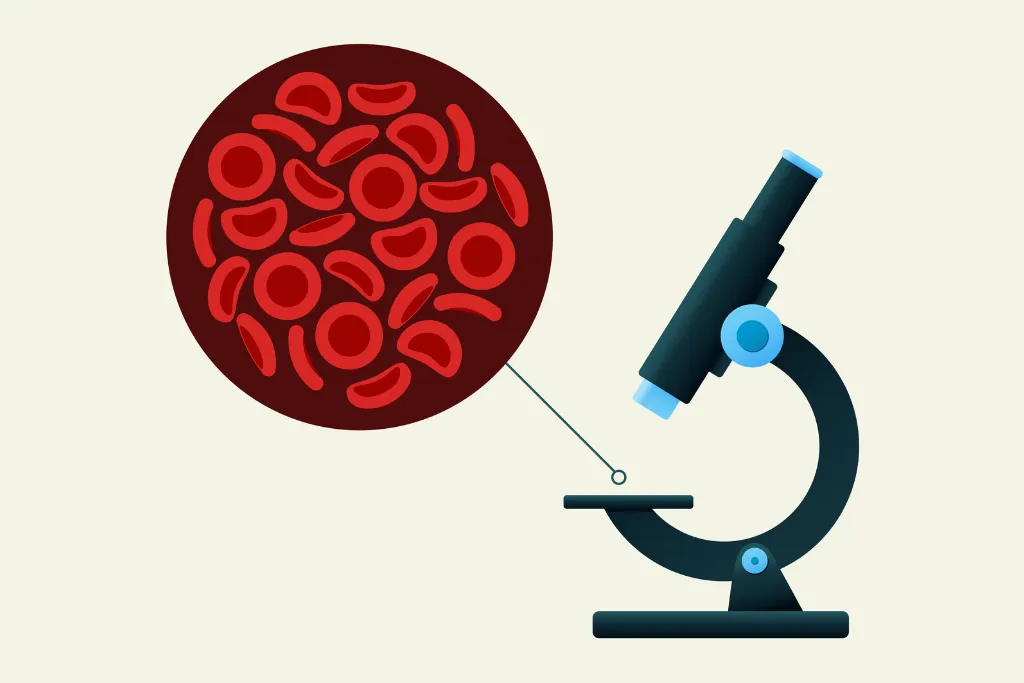 Pricing in the Unknown: Why Mortality Models Aren’t Ready for MCED Tests Just Yet