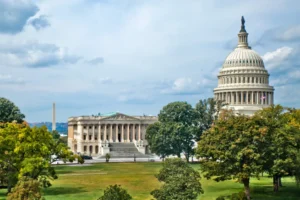 Optimism for Stronger Second Half in the Life Settlement Tertiary Market
