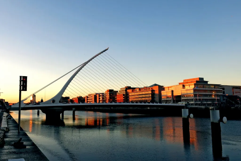 The Structural Decision for Setting Up a Life Settlement Vehicle in Ireland